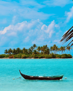ld the best travel agent in kochi