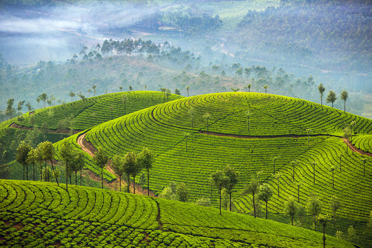 skmthe best travel agent in kochi