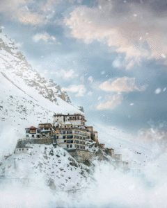 spiti best travel agent in kochi