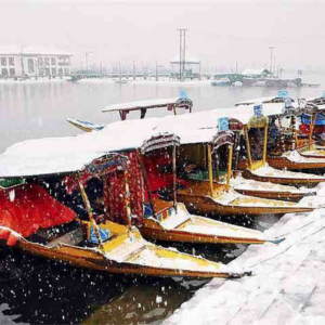 kashmir best travel agent in kochi