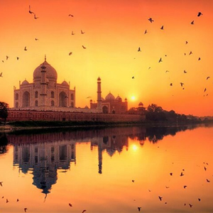 agra best travel agent in kochi